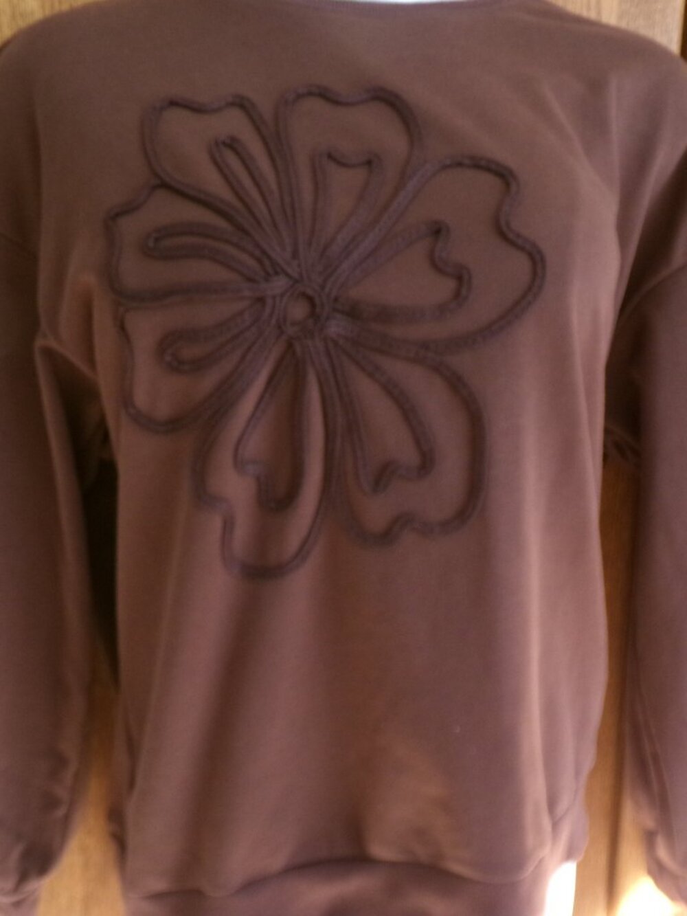 NWT Calypso Brown Pullover Embellished Top Size XL